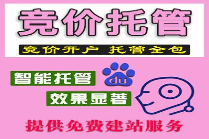 案例分享：SEM推广代运营经验